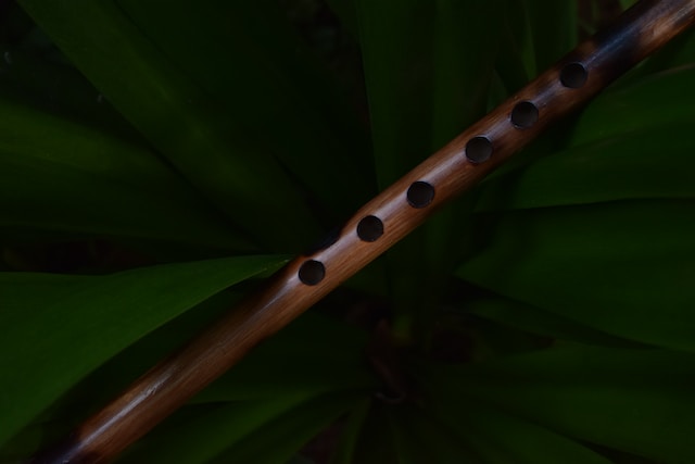 mira cual es la forma correcta de limpiar una flauta